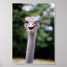 Piscar os olhos piscar os olhos