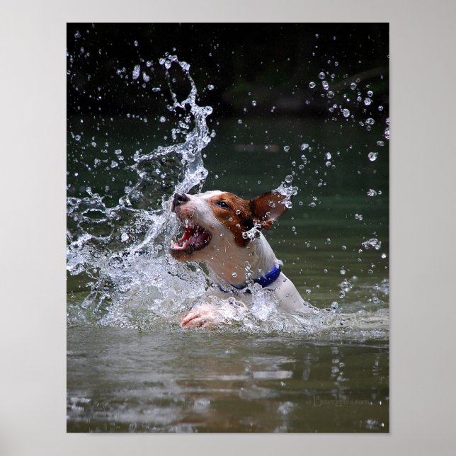 Poster Piscina (Frente)