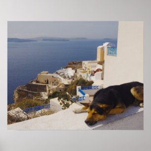Poster Piscina, cidade da ilha de Santorini, Oia, sono do