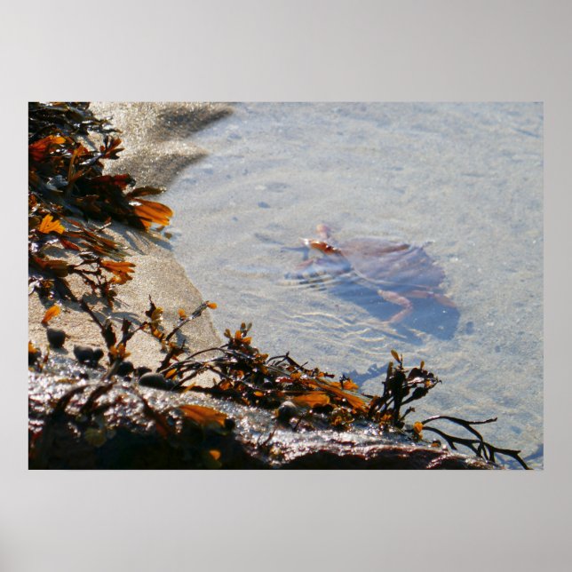 Poster Piscina de maré na Praia de Areia (Frente)