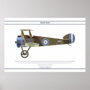 Poster Piscina do camelo