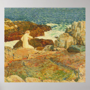 Poster Piscina do leste do promontório