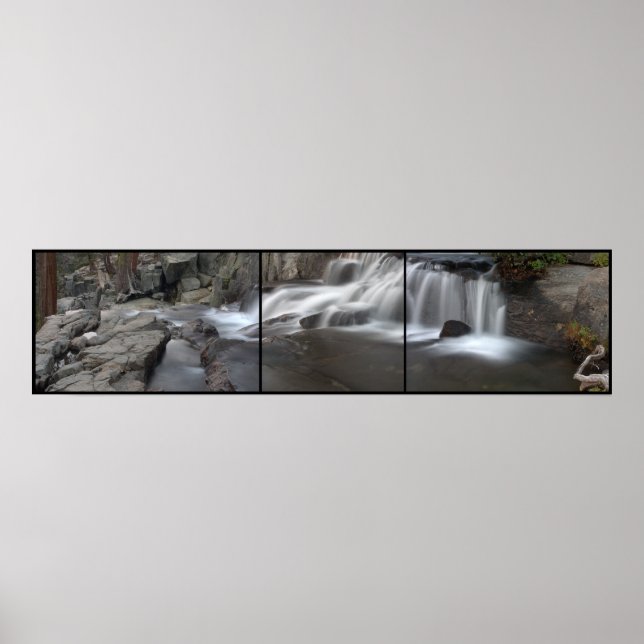 Poster Piscina dos Sonhos - Águia cai no lago Tahoe, CA (Frente)