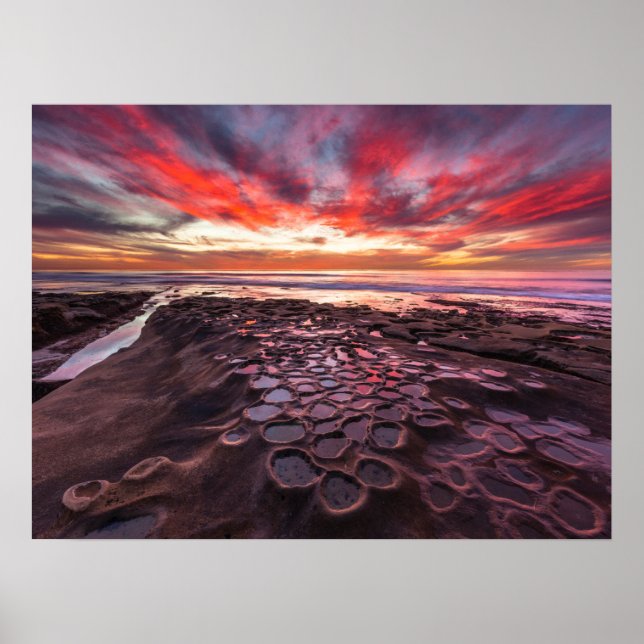 Poster Piscinas de maré em La Jolla, CA (Frente)