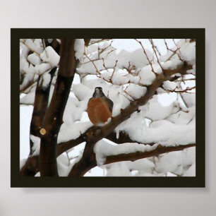 Poster Pisco de peito vermelho no preto