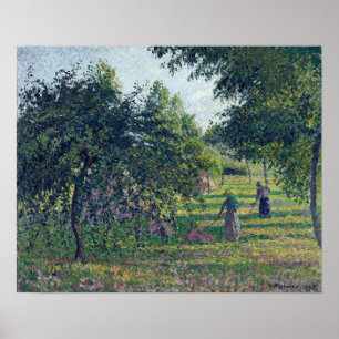 Poster Pissarro - Árvores De Maçã Em Eragny 1895
