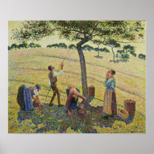 Poster Pissarro - Colhedores de Maçã Eragny 1888