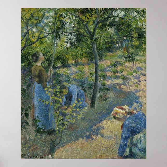 Poster Pissarro - Colheita de Maçãs 1881 (Frente)