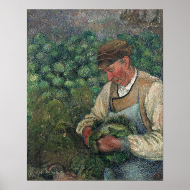 Poster Pissarro - O Velho Camponês Do Jardineiro Com Couv (Frente)
