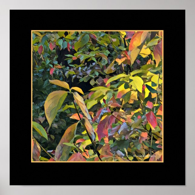 Pôster Pistachio chinês em queda (Frente)