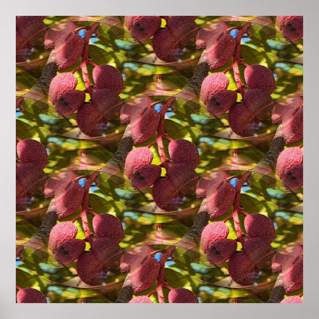 Poster Pistachios... (Frente)