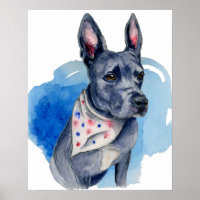 Pit Bull Cachorro Azul Moleração