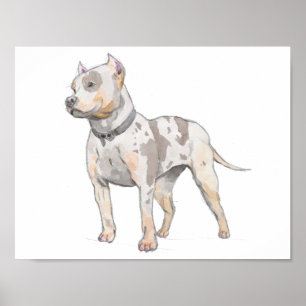 Poster Pit Bull Cachorro Branco Desenho Aquarela