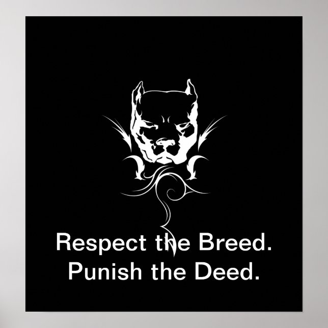 Poster Pitbull. (Frente)