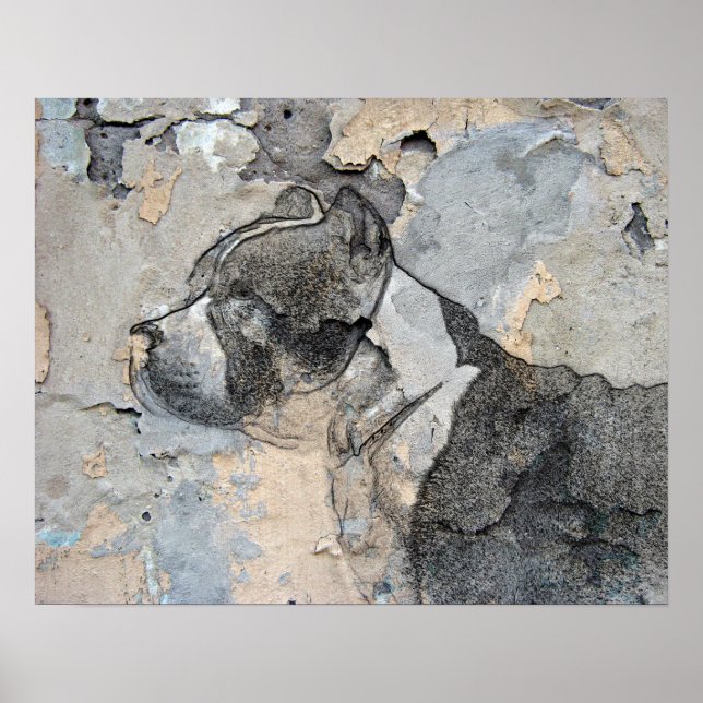 Pôster Pitbull (Frente)