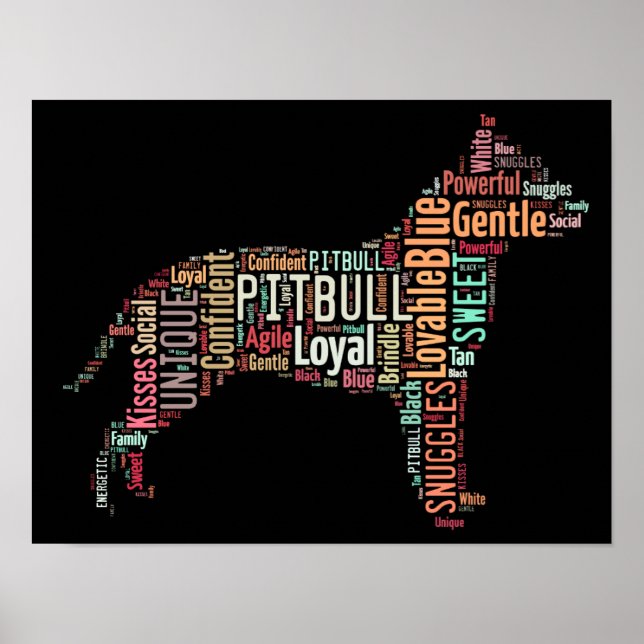 Poster Pitbull (Frente)
