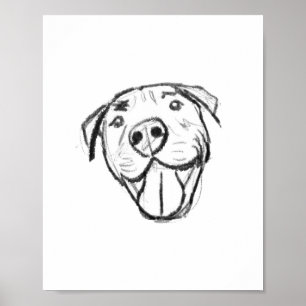 Poster pitbull drawing simple dog lovers black white
