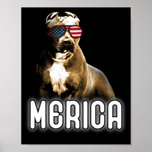 Poster Pitbull Merica Patriótico Pit Bull