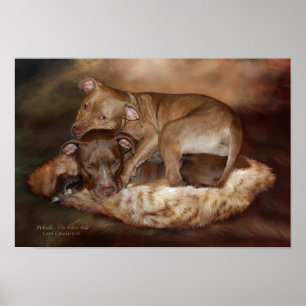 Pôster Pitbulls - o poster/impressão laterais mais macio