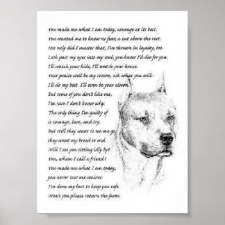 Pôster pitbulpolo