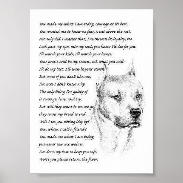 Pôster pitbulpolo (Frente)