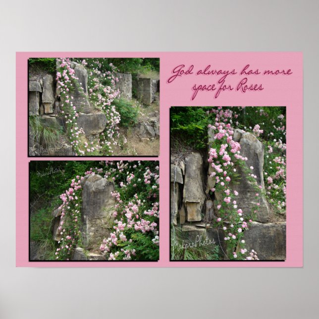 Pôster Pk old-fashroses em bluff-ZP (Frente)