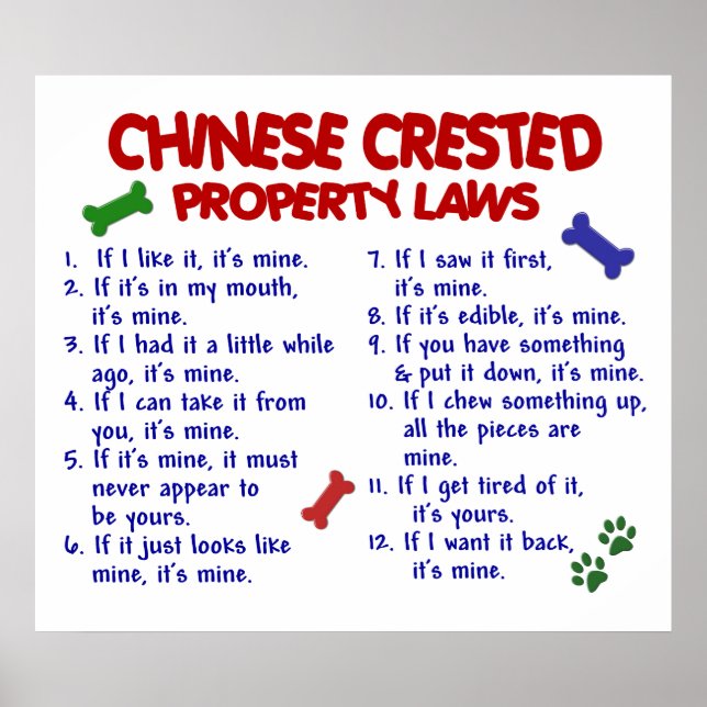 PÔSTER PL2 CRESTADO CHINÊS (Frente)