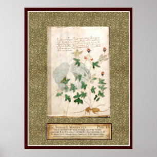 Pôster Placa 10 de Voynich