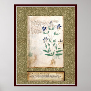 Pôster Placa 18 de Voynich