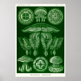 Poster Placa 88. Disco.