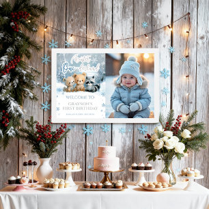 Poster Placa de Boas-Vindas Winter Onederland Azul Primei