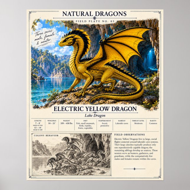 Poster Placa de Campo Amarelo Elétrico (Frente)