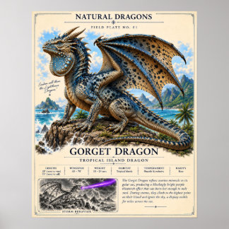 Poster Placa de Campo do Dragão Gorget