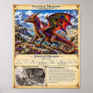 Poster Placa de Campo do Dragão Joalheiro