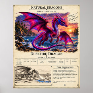 Poster Placa de Campo Fogo Crepuscular