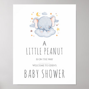 Poster Placa de Chá de Bebê Little Peanut - Menino