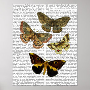 Poster Placa de Mariposa 4