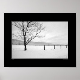 Poster Placa de solidão