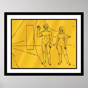 Poster Placa Dourada da sonda espacial Nasa Pioneer 10