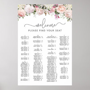 Poster Placa Sentada de Quinceanera, Rosa Rosa Rosa Rosa