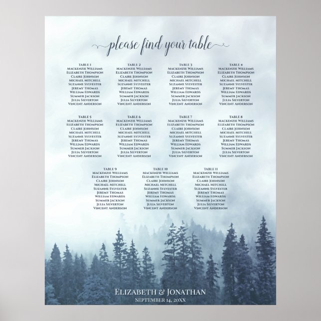 Poster Placas-Mesa Rustic Blue Pine Trees 11 (Frente)