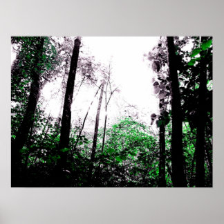 Pôster Placas verdes