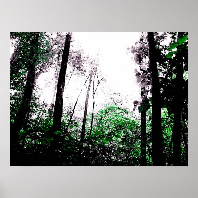 Pôster Placas verdes (Frente)