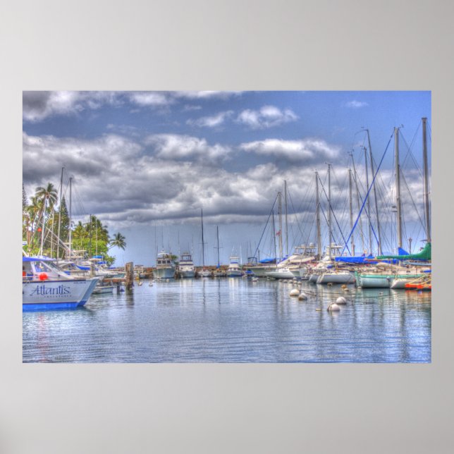 Pôster PlÁcido Maui Harbor (Frente)
