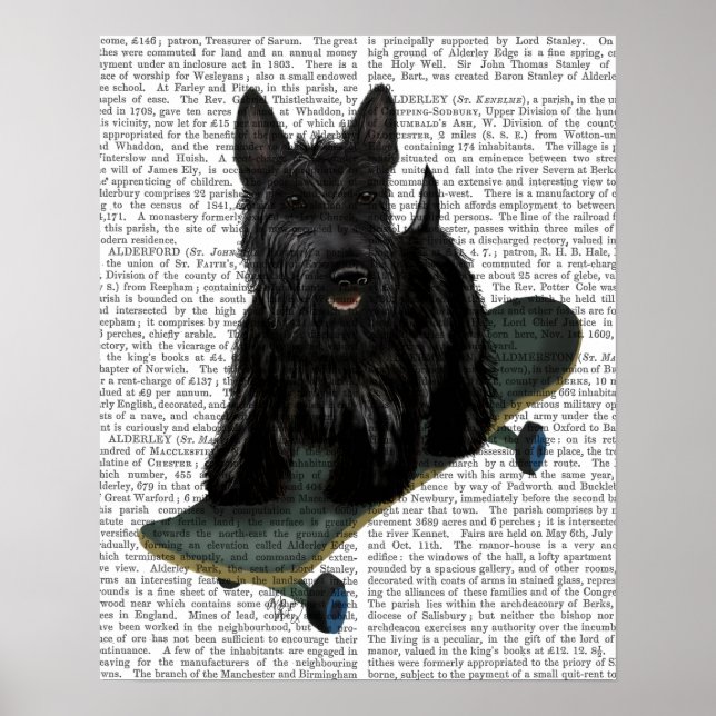 Poster Plain de Bulldog Francês (Frente)