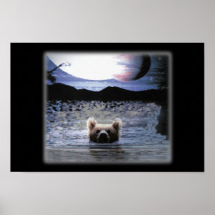 Poster Planeta do urso