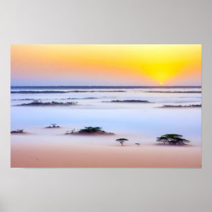 Poster Planície Natureza Savannah ao ar livre Paisagem Ar