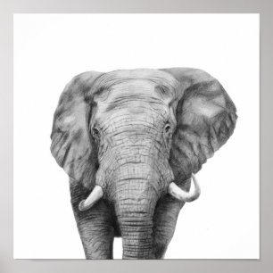 Poster Plano de backup IV