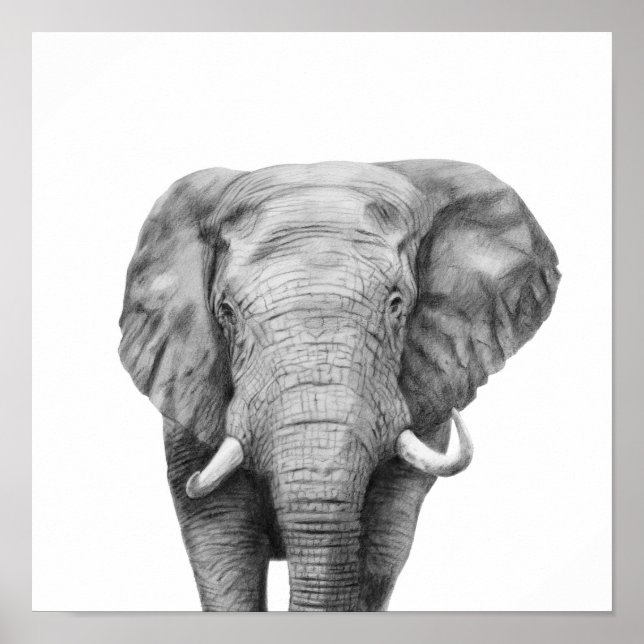 Poster Plano de backup IV (Frente)