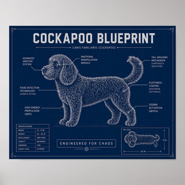 Poster Plano de Cockapoo Arte de Parede Presente para Ama (Frente)